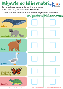 Identifying Living or Non–living Worksheet: Free Printable PDF for Kids